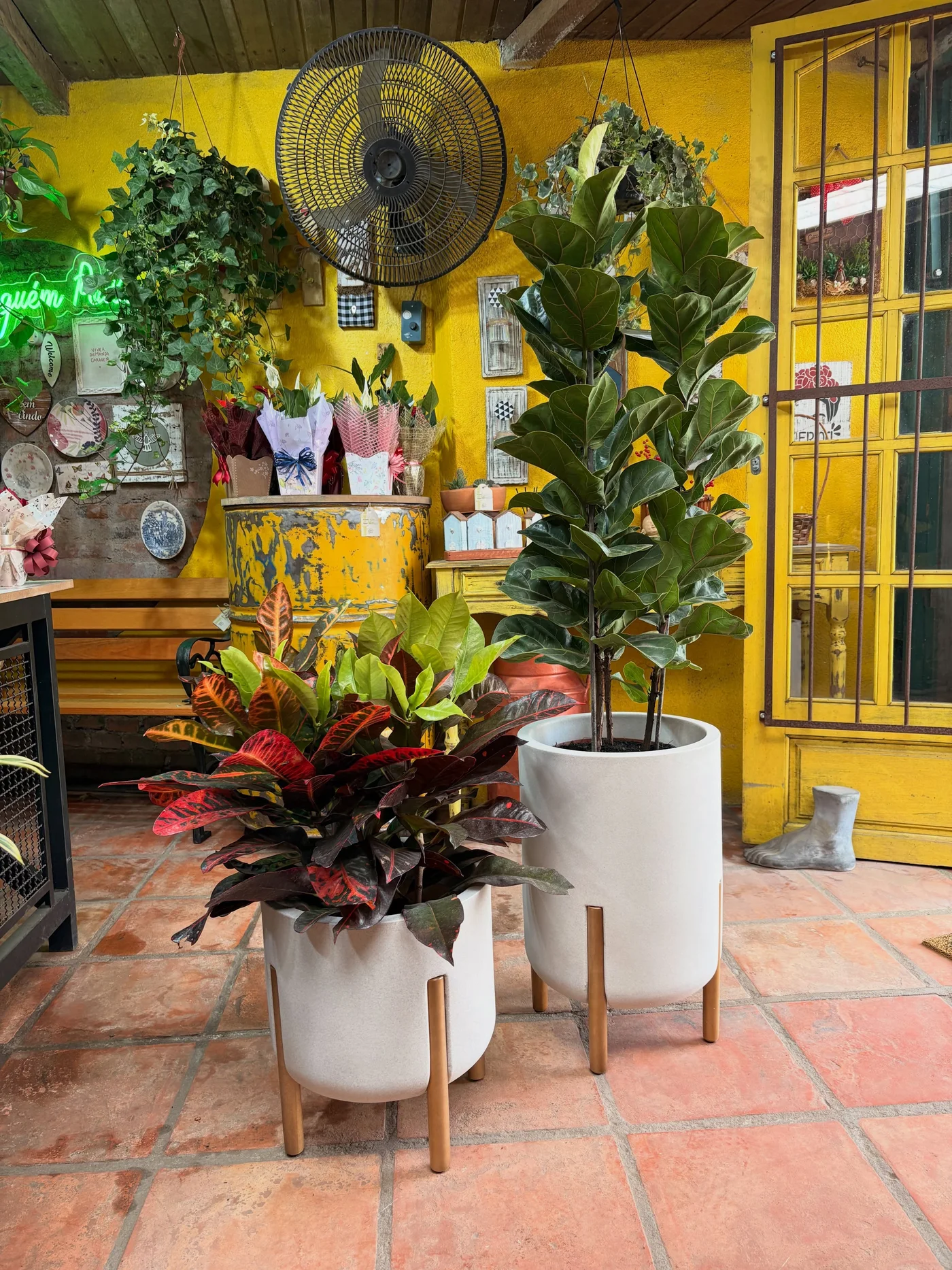 Plantas em vasos brancos na loja Bamboo, com parede amarela